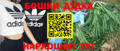 a pvp Тара