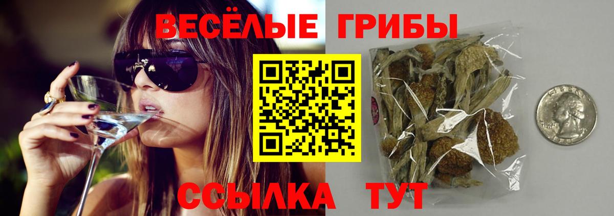 Тамбов  Псилоцибиновые грибы Magic Shrooms  Вход с VPN 